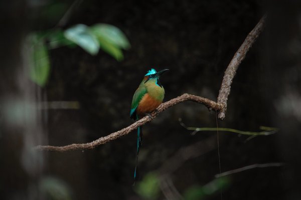 Comprendre et attirer votre public cible : Les secrets d'un marketing en ligne réussi