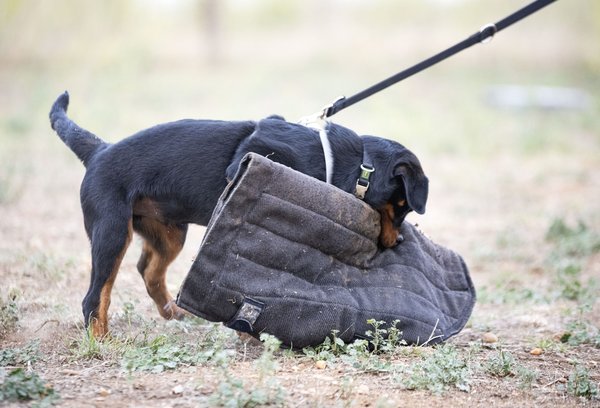 Choix sûr : quelle app bancaire mobile?