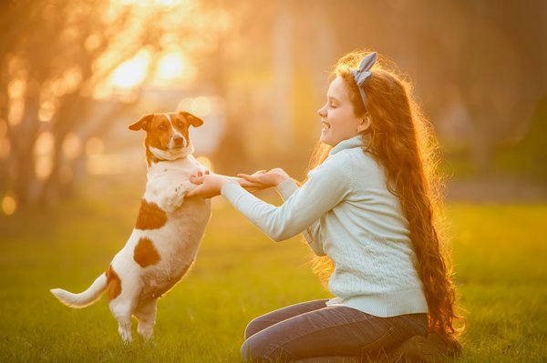 Conseils quotidiens sur occupyforanimals.fr pour le bien-être animal