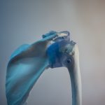 blue and white bird figurine